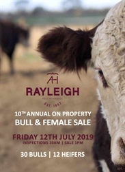 Rayleigh Poll Herefords 2019 On Property Bull and Female Sale – July 12th