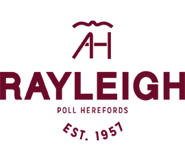 Rayleigh Poll Herefords - Aiming to Breed - Modern, Efficient and Profitable animals