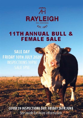 11th Annual Bull & Femaile Sale