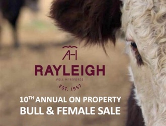 Rayleigh Poll Herefords 2019 On Property Bull and Female Sale – July 12th