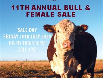 11th Annual Bull & Femaile Sale