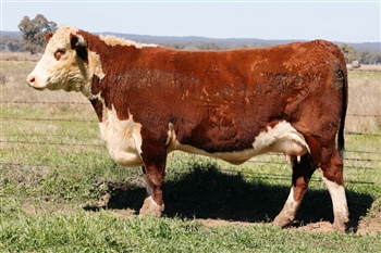 72 AHCT100 20I1269