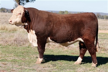 Lot 18