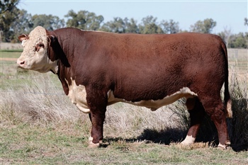 Lot 22