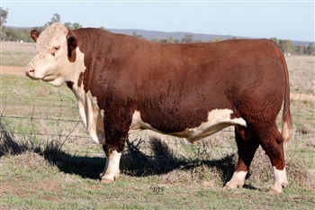 Lot 2 