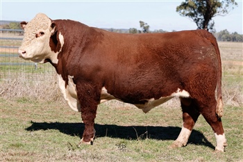 Lot 3