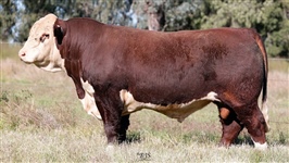 Lot 1 AHCU036 Rayleigh 2025