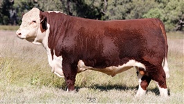 Lot 2 AHCU018 Rayleigh 2025