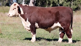 Lot 5 AHCU120 Rayleigh 2025