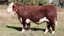 Lot 7 AHCU076 Rayleigh 2025