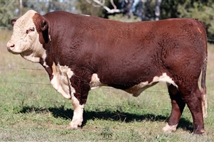  Lot 11 AHCU052 Rayleigh 2025
