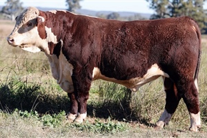 Lot 21 AHCU096 Rayleigh 2025