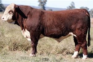 Lot 22 AHCU024 Rayleigh 2025