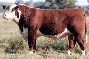  Lot 27 AHCU077 Rayleigh 2025