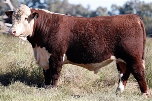 Lot 29 AHCU105 Rayleigh 2025
