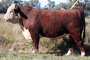 Lot 31 AHCU048 Rayleigh 2025